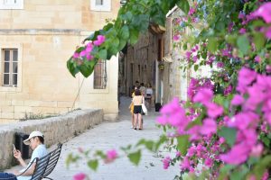 Discover Malta - Tours and Trips