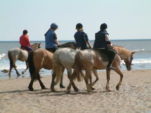 Horse Riding Activities Malta