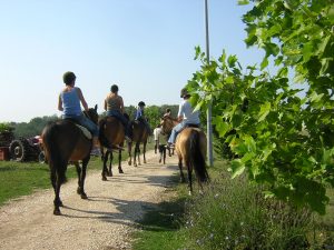 Malta Family Activities - Horse Riding Malta