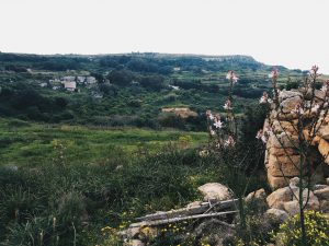 Malta's Nature - Explore Malta