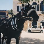 Mdina Silent City Tour - My Island Tours Malta