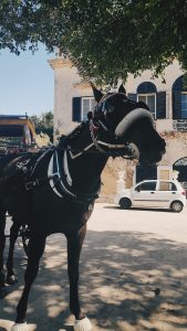 Mdina Silent City Tour - My Island Tours Malta