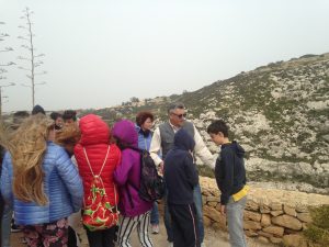 Guided Sightseeing Tours Malta