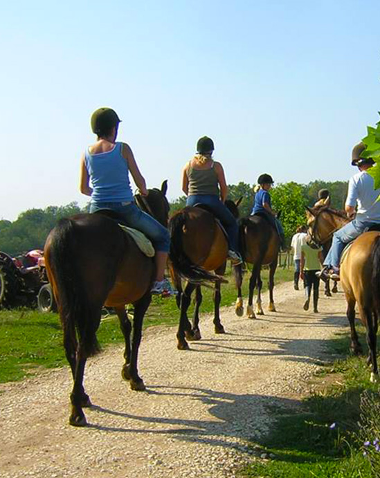 Horse Riding Fun in the Countryside