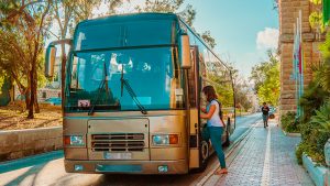 Malta Bus Tour and Activites