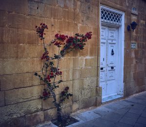 Mdina by Night and Day Walking Tour Malta