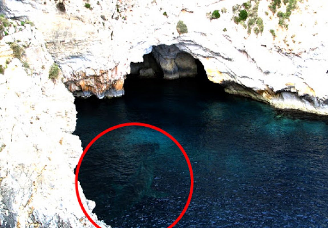 Blue Grotto-Mellieha Bay-Great White Shark Malta