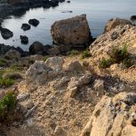 Hidden Rocky Beaches in Malta